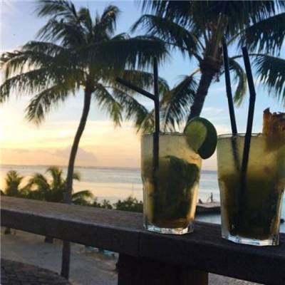 博雅.体育app手机版下载手机app下载截图